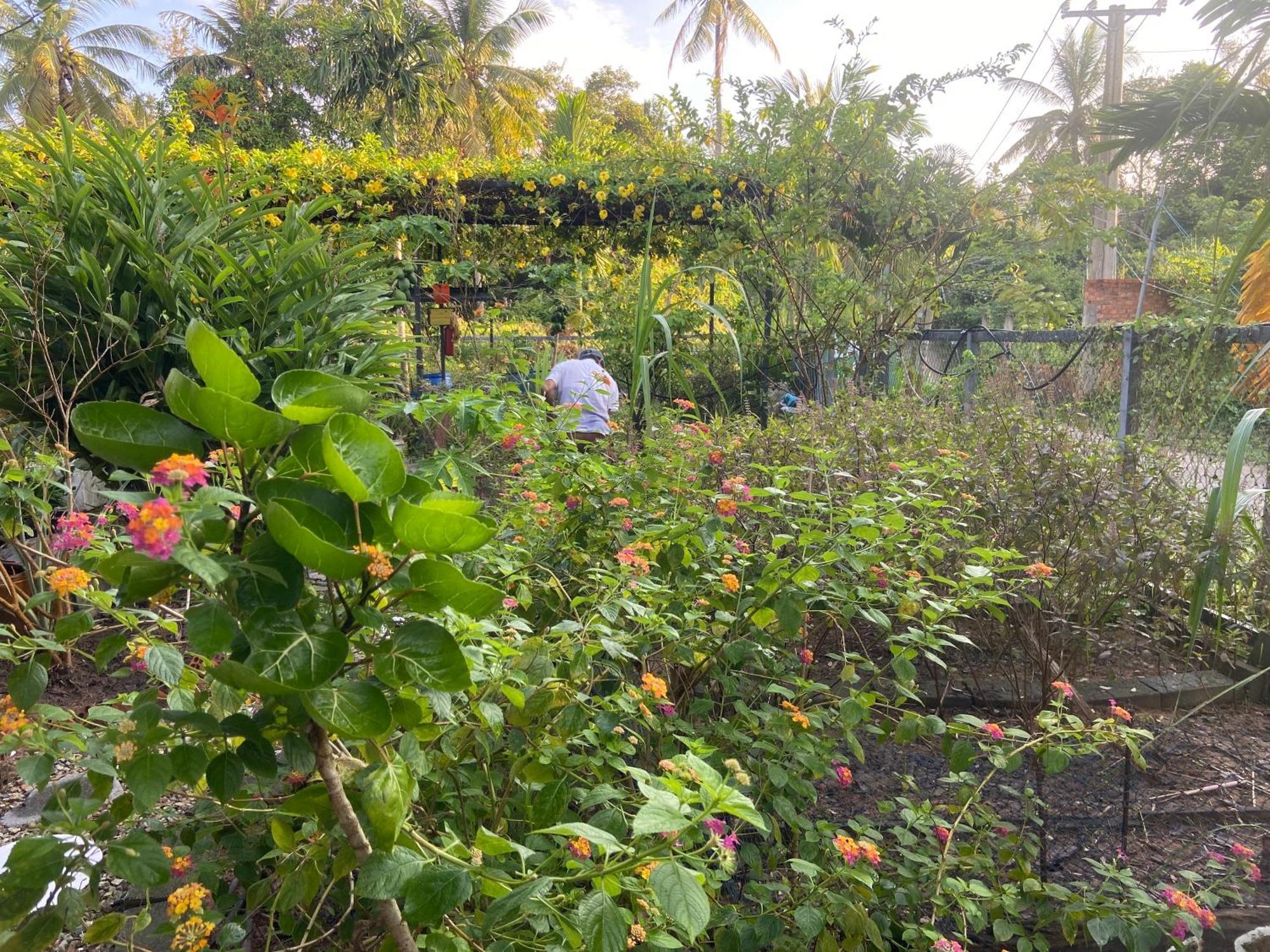 Lana Land Homestay Phu Quoc Exterior foto
